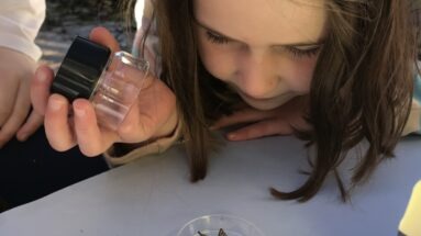 Stage monstre araignée peur enfant