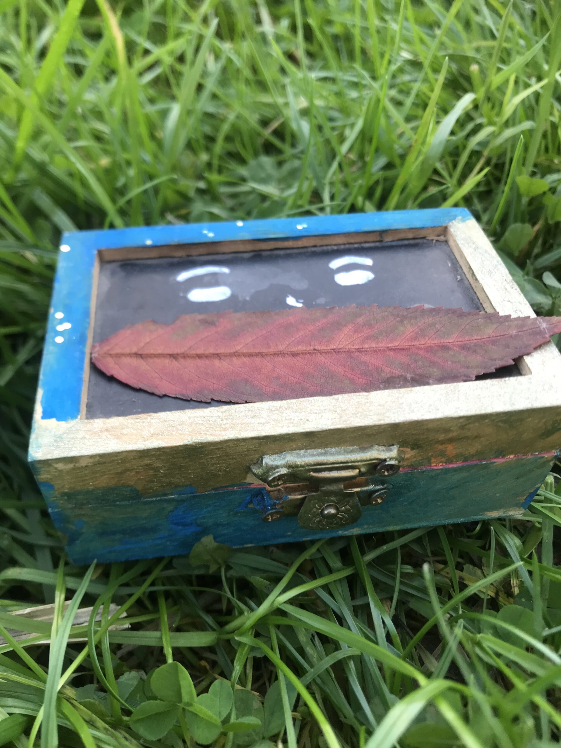 boite à peur stage émotion enfants nature 