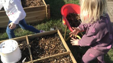 Potager école semis calendrier culture mulch