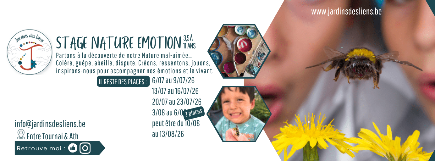 Stage nature émotions dehors Leuze en hainaut Abeilles guêpes frelons disputes colères 
