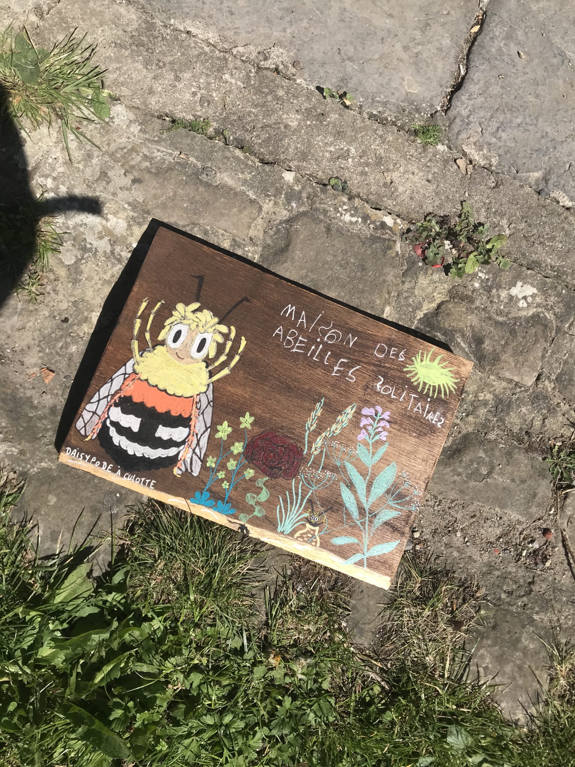 amis du dehors insectes abeilles solitaires peca école dehors nature potager
