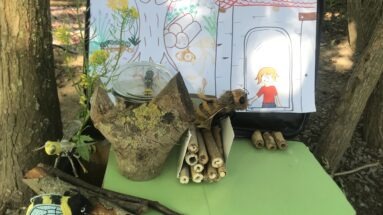 Activités émotions insectes maternelles animation scolaire pédagogie par la nature