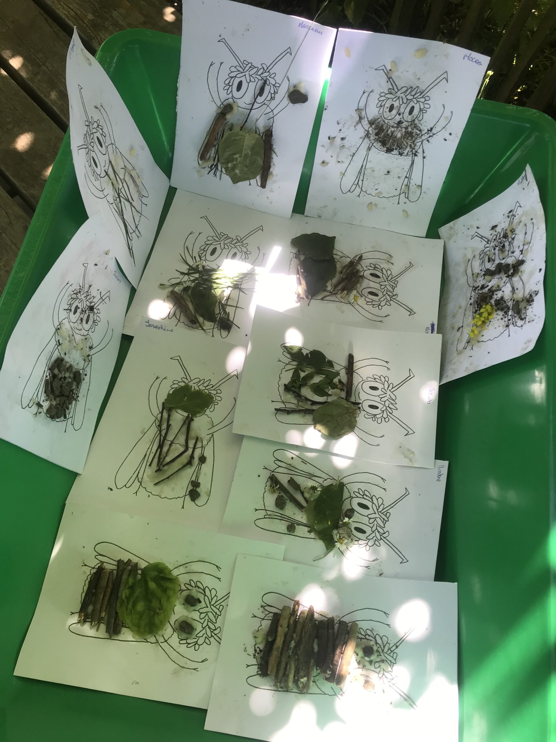 Activités émotions insectes maternelles animation scolaire pédagogie par la nature