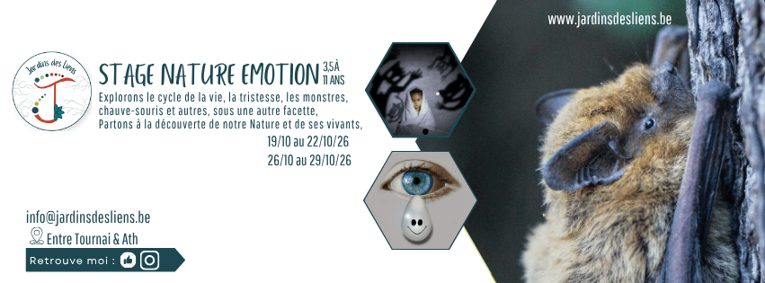 Stage Automne nature émotion leuze ath tournai péruwelz