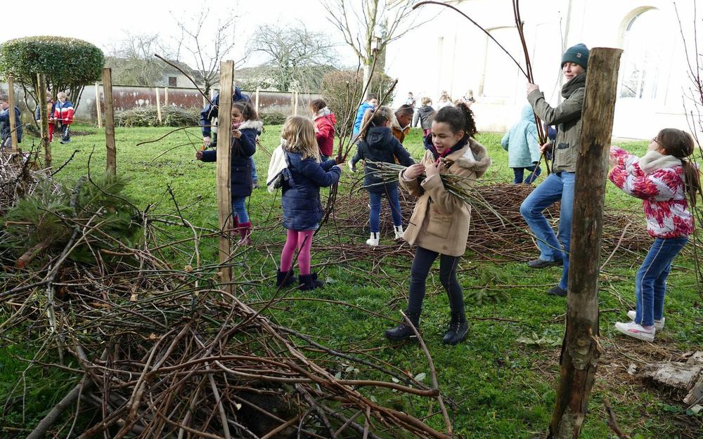 haie sèche enfants