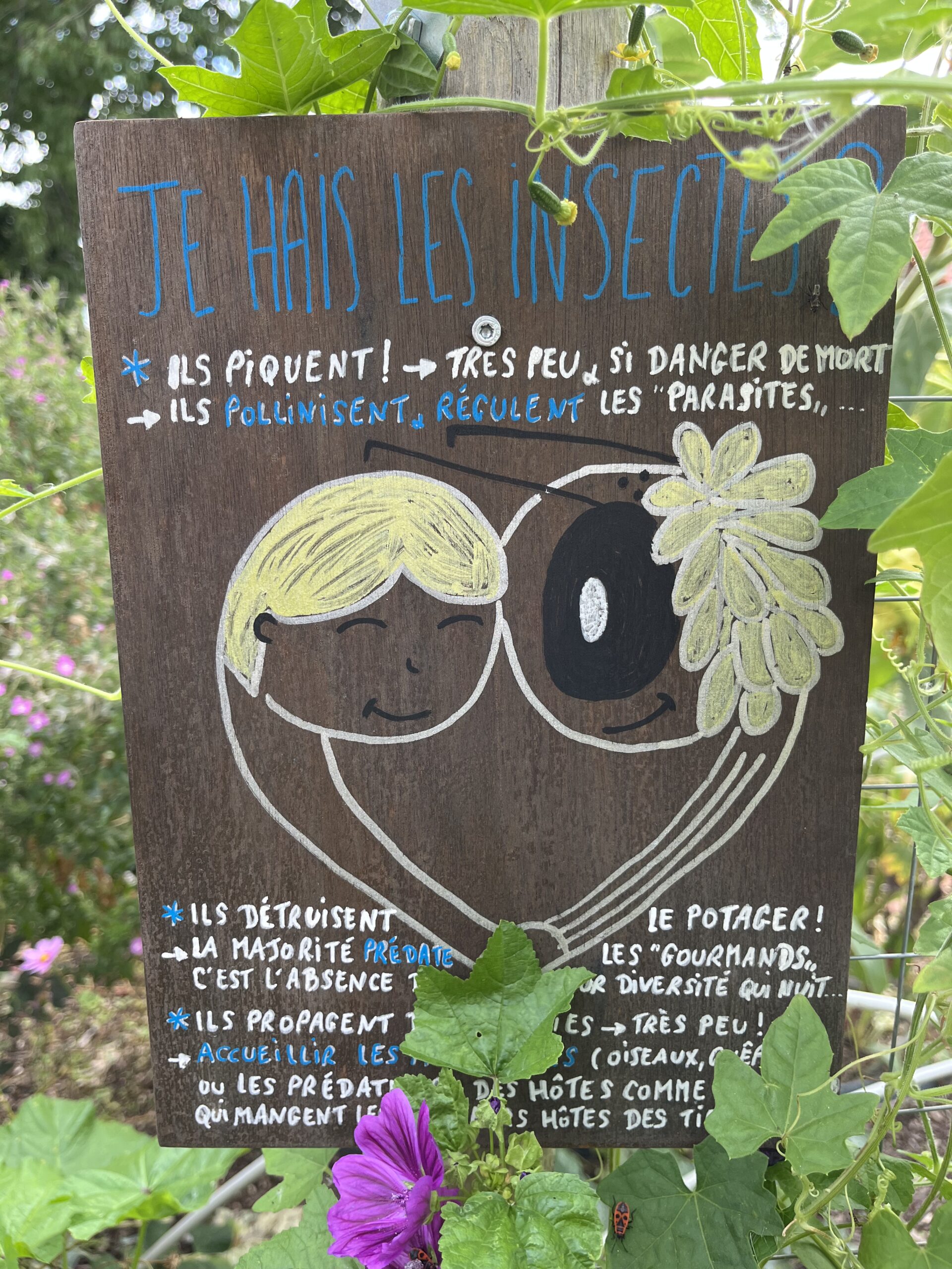 picto jardin potager école panneau informatique insecte art cours vivantes oasis